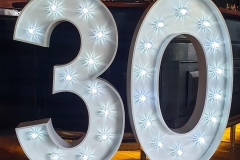 30 Light Up Numbers