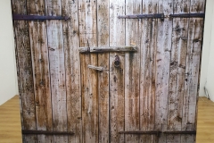 Barn Door Backdrop