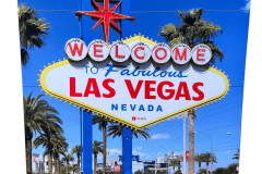 Las Vegas Photo Booth Backdrop