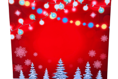 Christmas Photo Booth Backdrop
