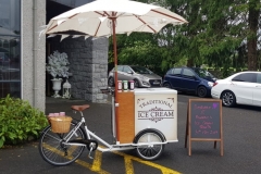 Ice-Cream-Bike