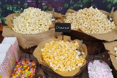 Popcorn Bar