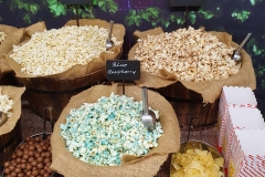 Popcorn Bar