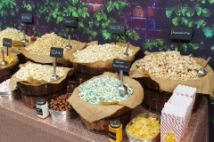 Popcorn Bar