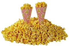 Popcorn-Cones