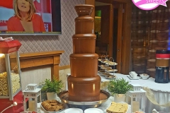 Chocolate Fountain Hire