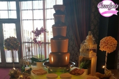 Chocolate Fountain Hire